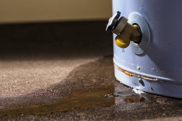Best 24/7 water damage repair  in Denton, NC