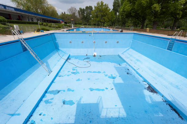 Best Mold removal after water damage  in Denton, NC