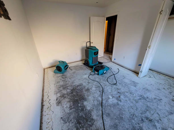 Best Fire Damage Restoration  in Denton, NC