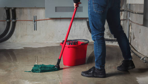 Best Local water damage restoration  in Denton, NC
