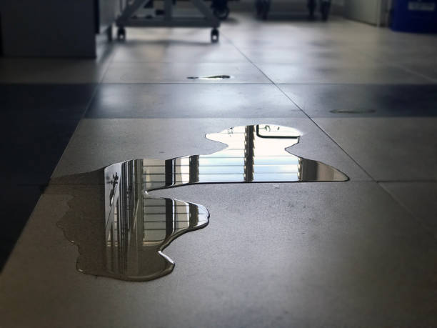 Best Professional water damage repair  in Denton, NC