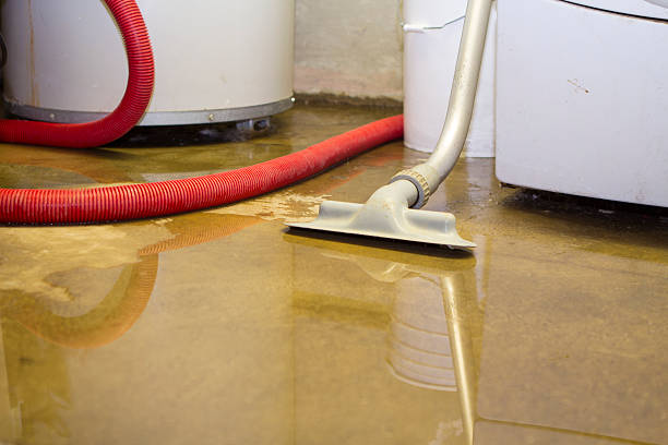 Best Water damage restoration near me  in Denton, NC