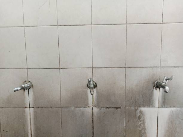 Best Ceiling water damage repair  in Denton, NC